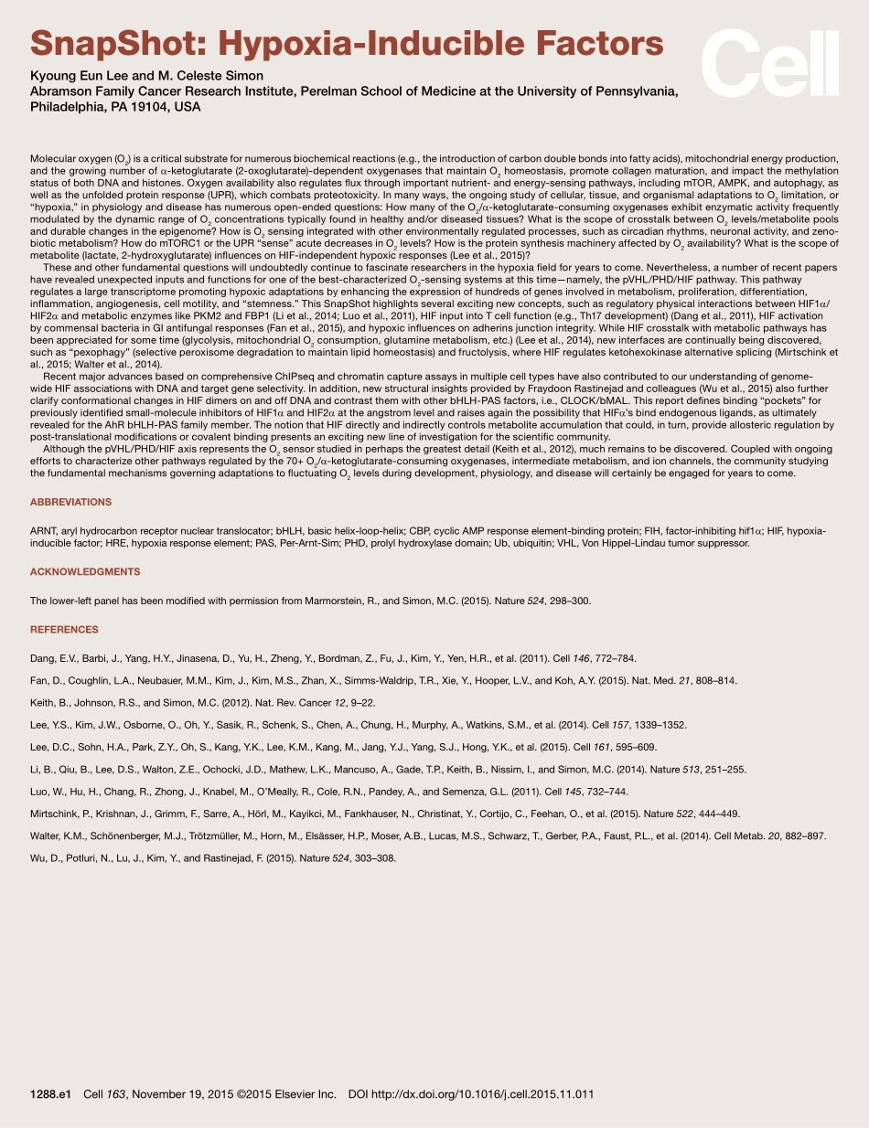 Hypoxia-Inducible Factors.pdf_第2页