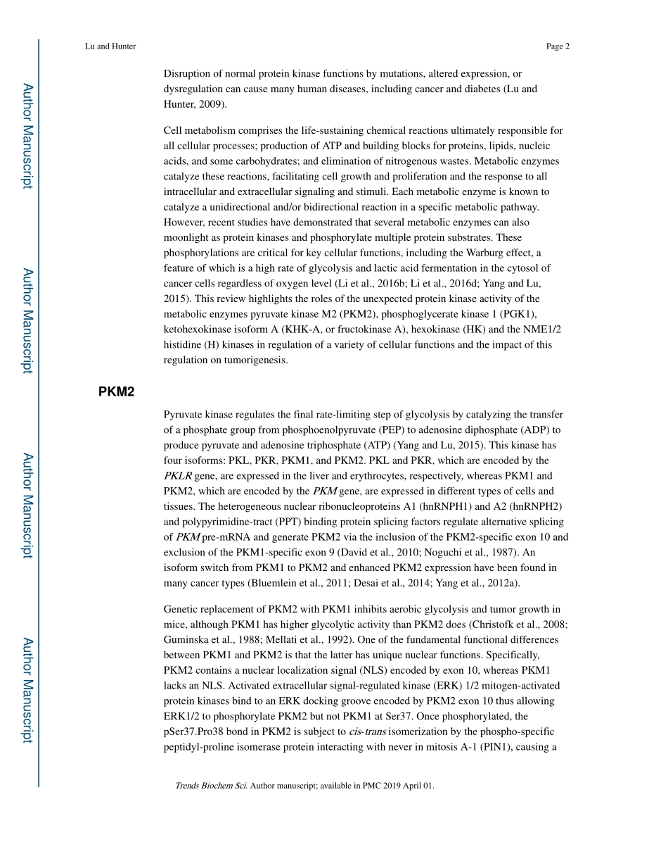Metabolic kinases moonlighting as protein kina.pdf_第2页