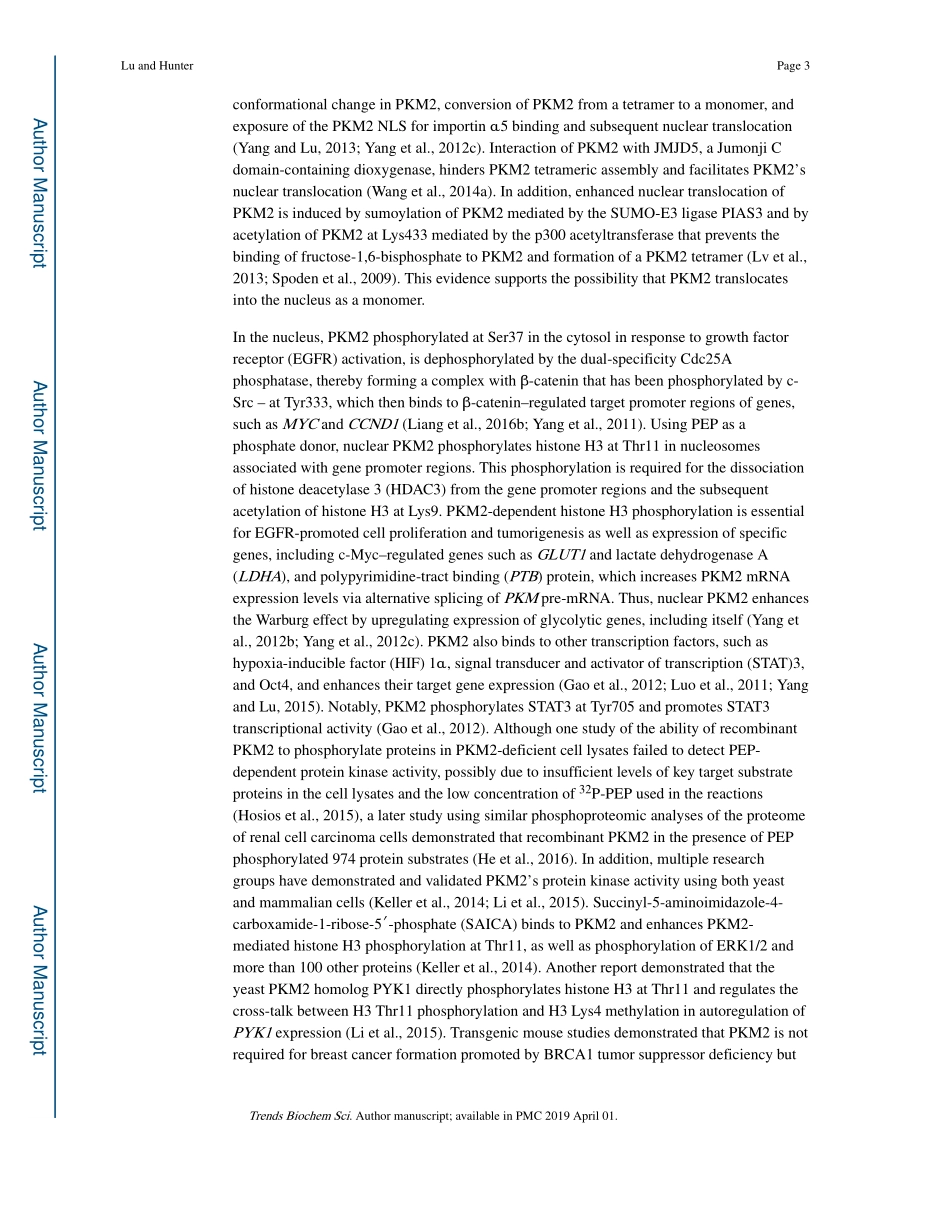 Metabolic kinases moonlighting as protein kina.pdf_第3页