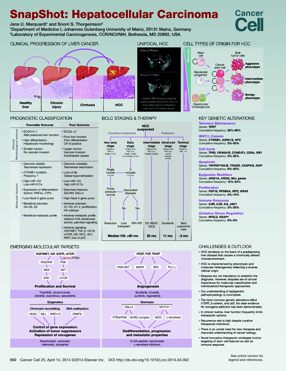 Histone-Modifying Enzymes.pdf_第1页