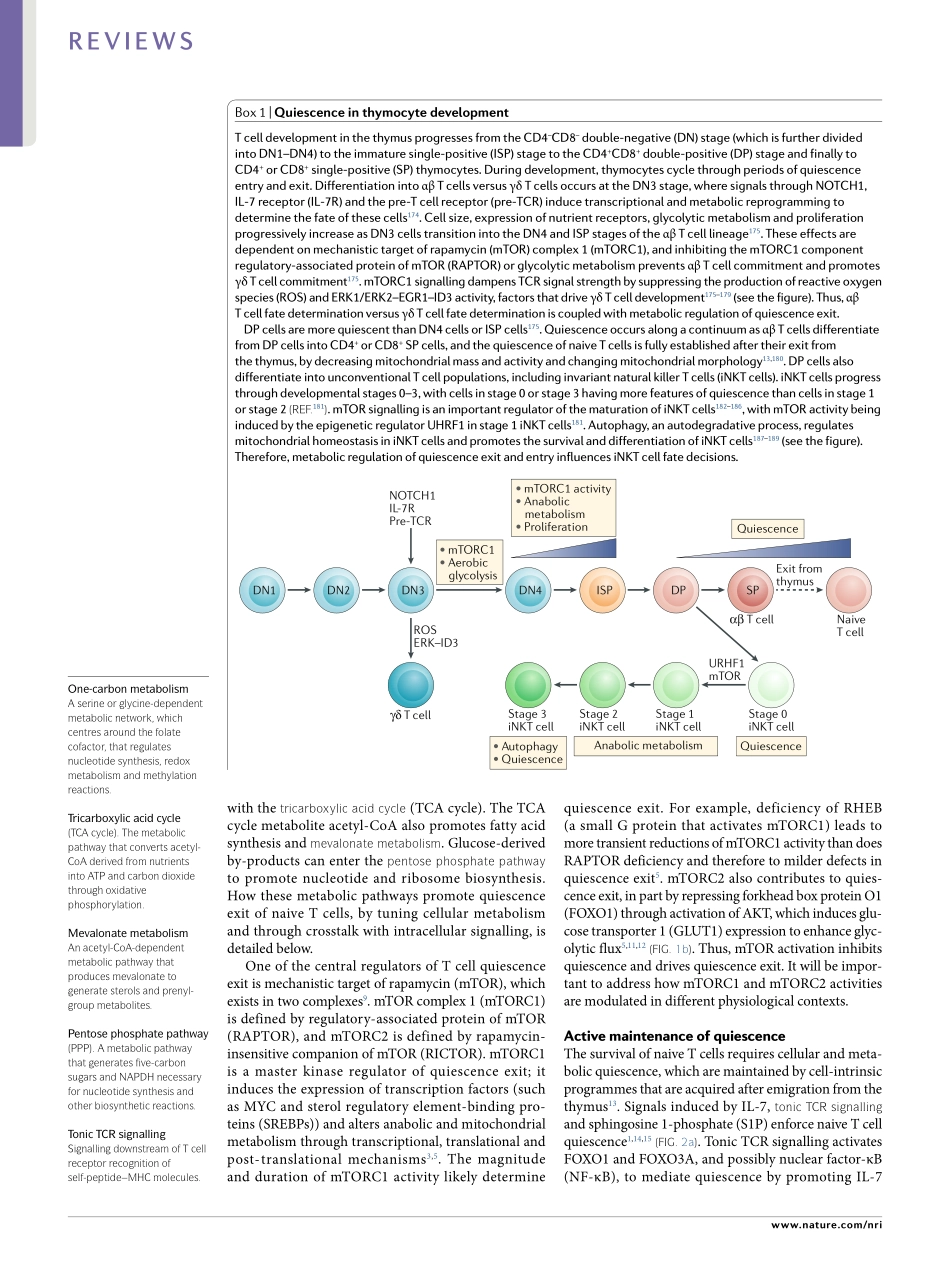 Metabolic coordination of T cell quiescence an.pdf_第2页