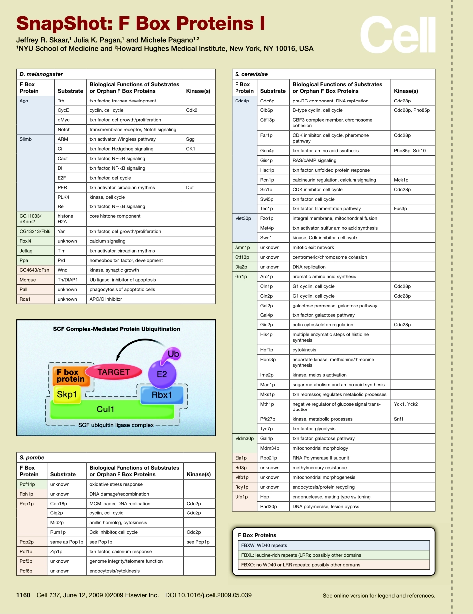 F Box Proteins I.PDF_第1页