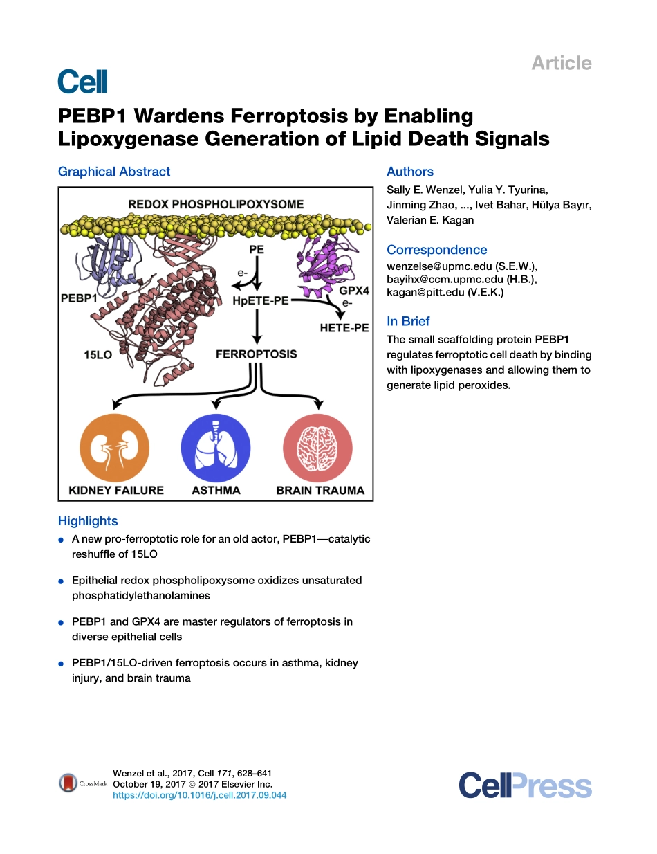 2017-Wenzel-PEBP1通过脂质氧化酶产生脂质死亡信号来维持细胞凋亡.pdf_第1页