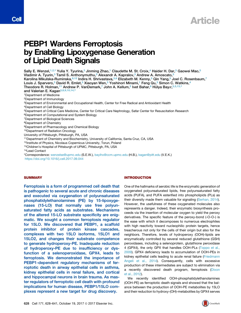 2017-Wenzel-PEBP1通过脂质氧化酶产生脂质死亡信号来维持细胞凋亡.pdf_第2页