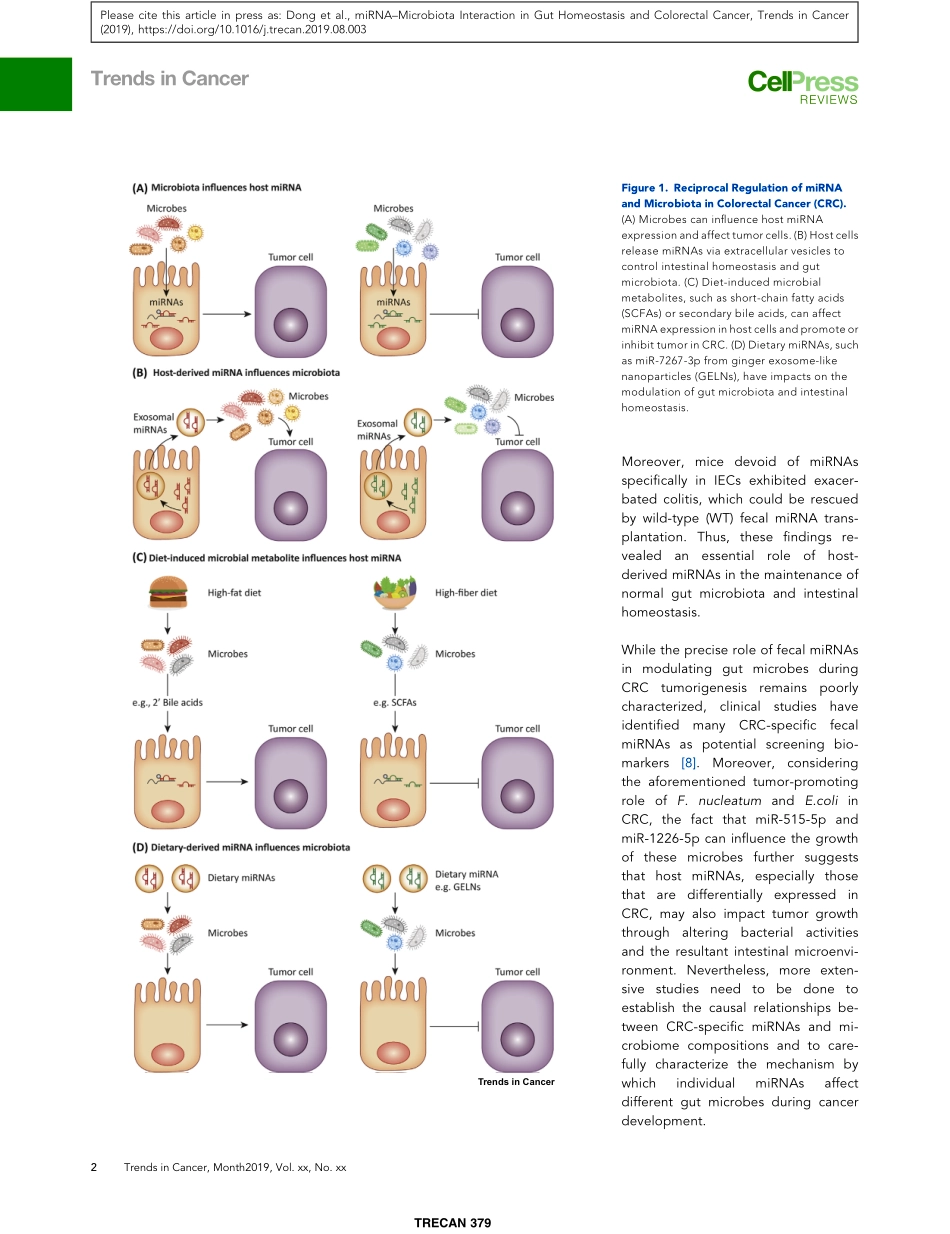 miRNA Microbiota Interaction in Gut Homeostasi.pdf_第2页