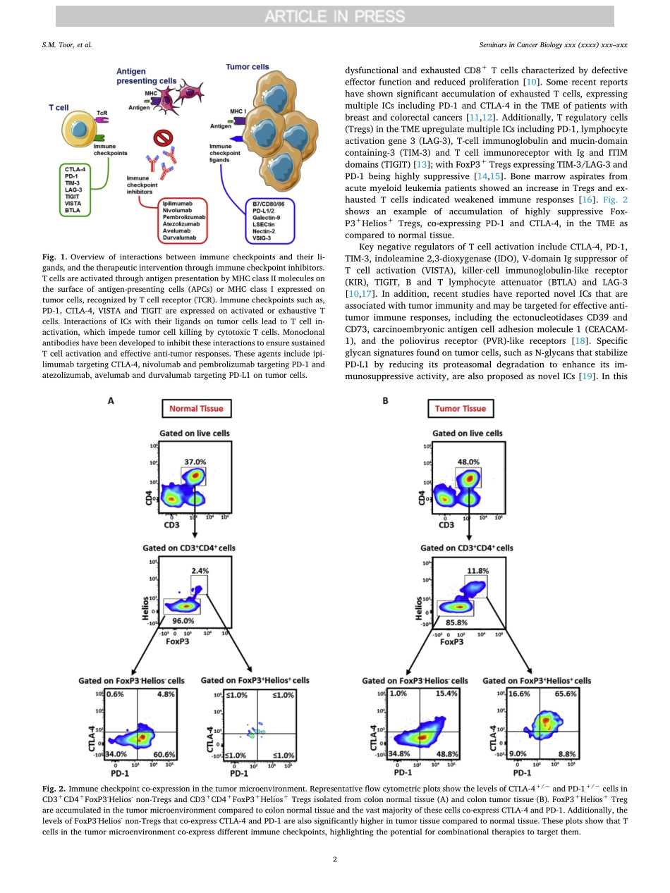 Immune checkpoints in the tumor microenvironme.pdf_第2页