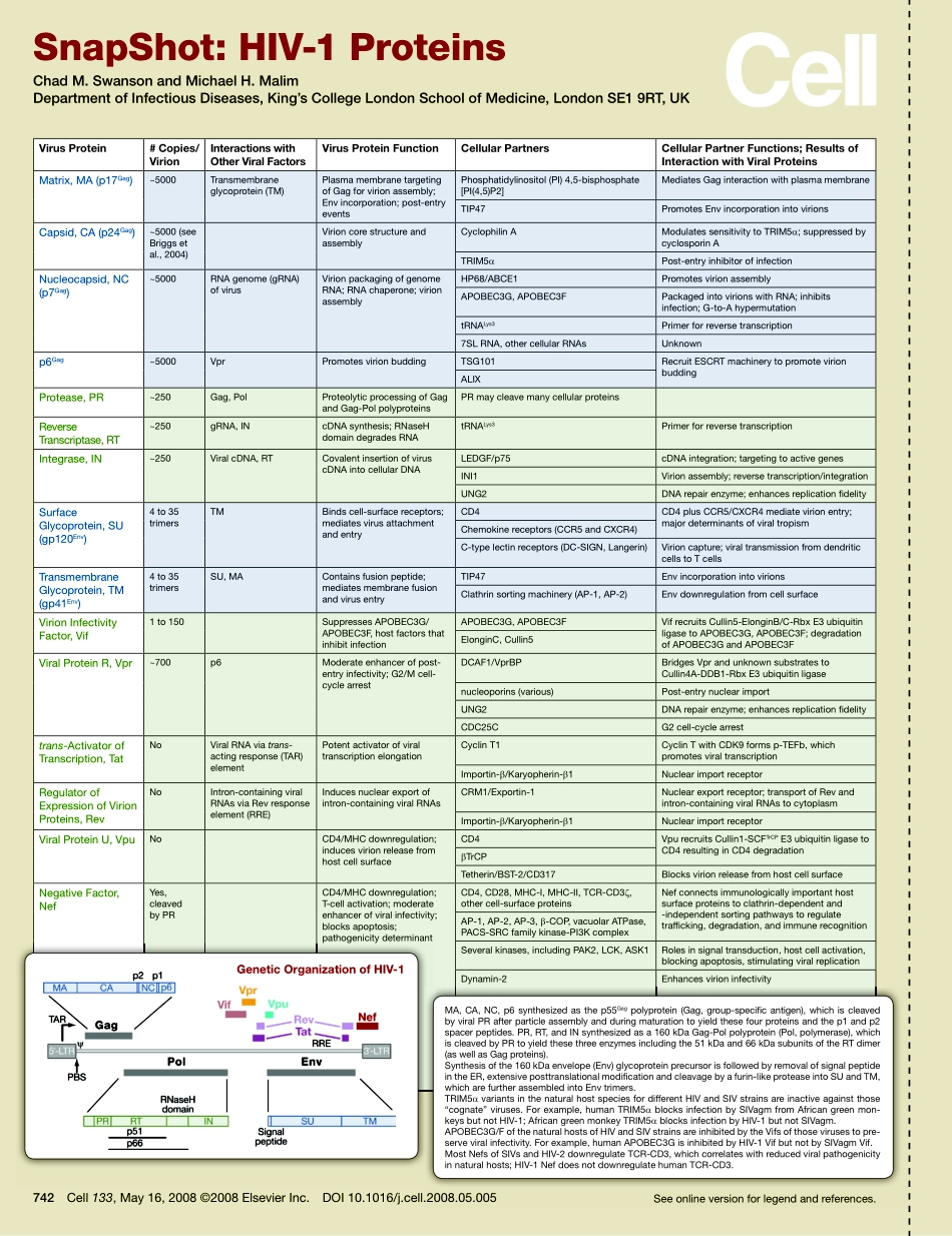 HIV-1 Proteins.PDF_第1页