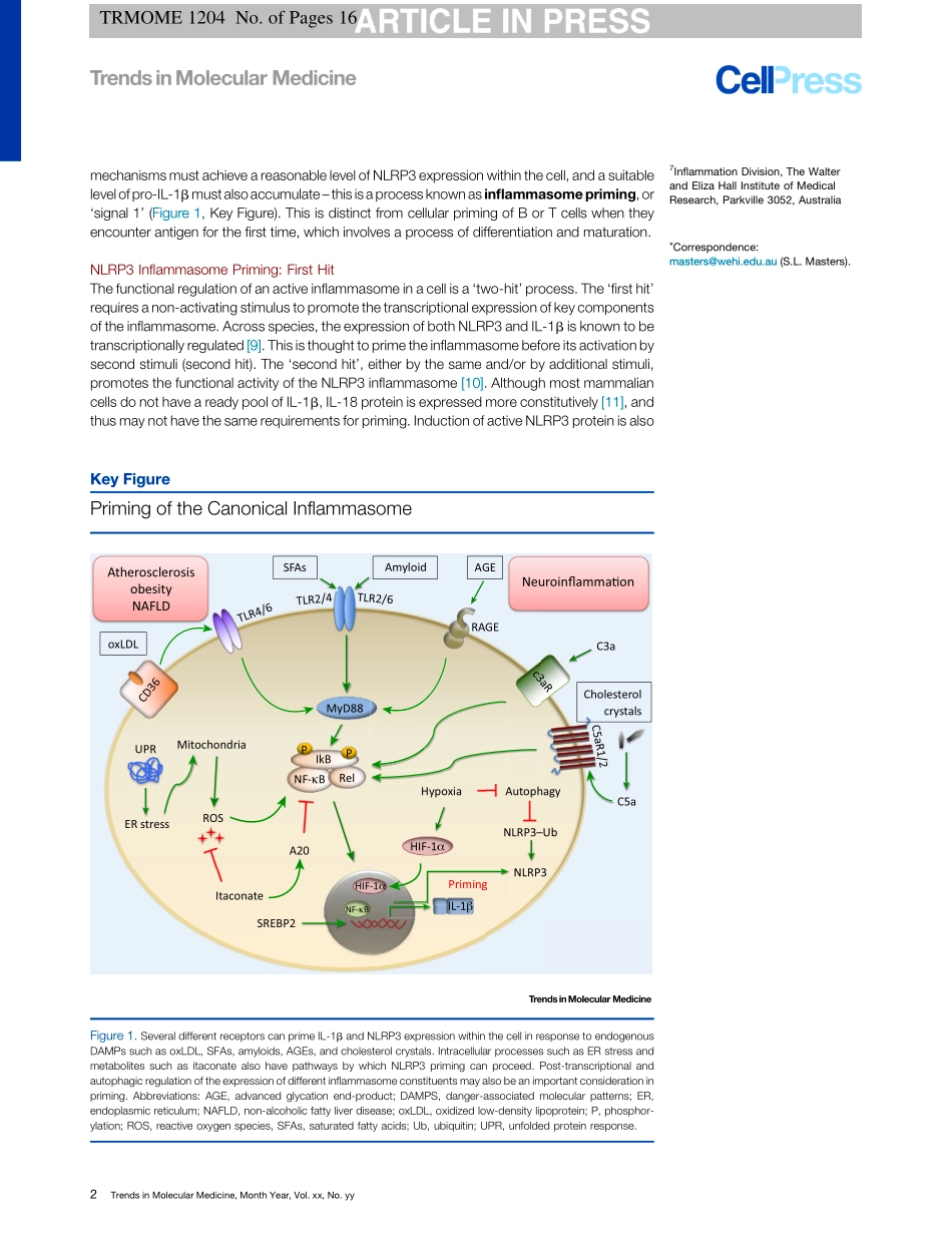 Inflammasome Priming in Sterile Inflammatory Disease.pdf_第2页