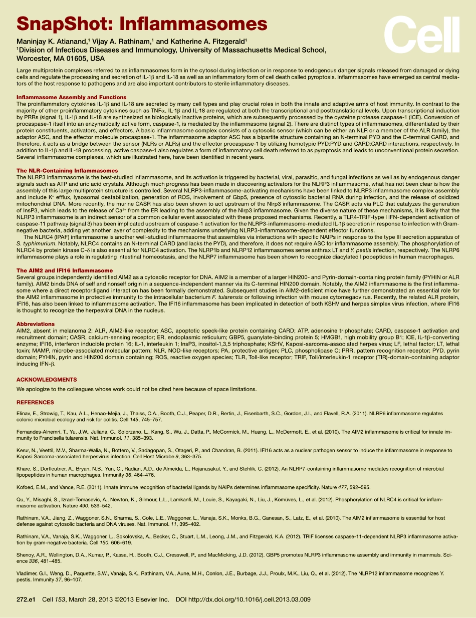 Inflammasomes.pdf_第2页