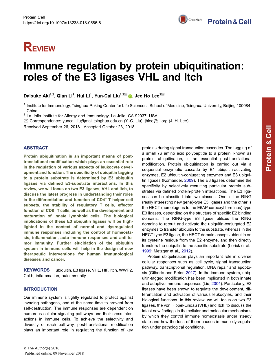 Immune regulation by protein ubiquitination ro.pdf_第1页