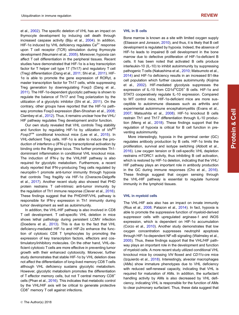 Immune regulation by protein ubiquitination ro.pdf_第3页
