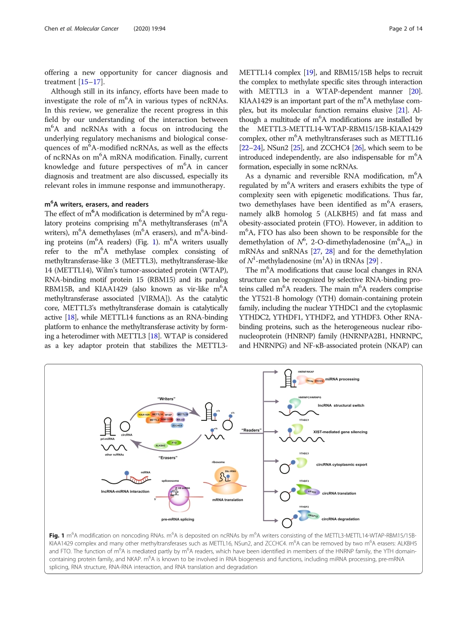 Interaction between N6-methyladenosine (m6A) m.pdf_第2页