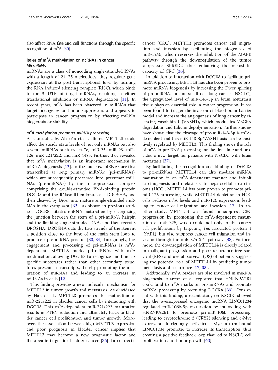 Interaction between N6-methyladenosine (m6A) m.pdf_第3页