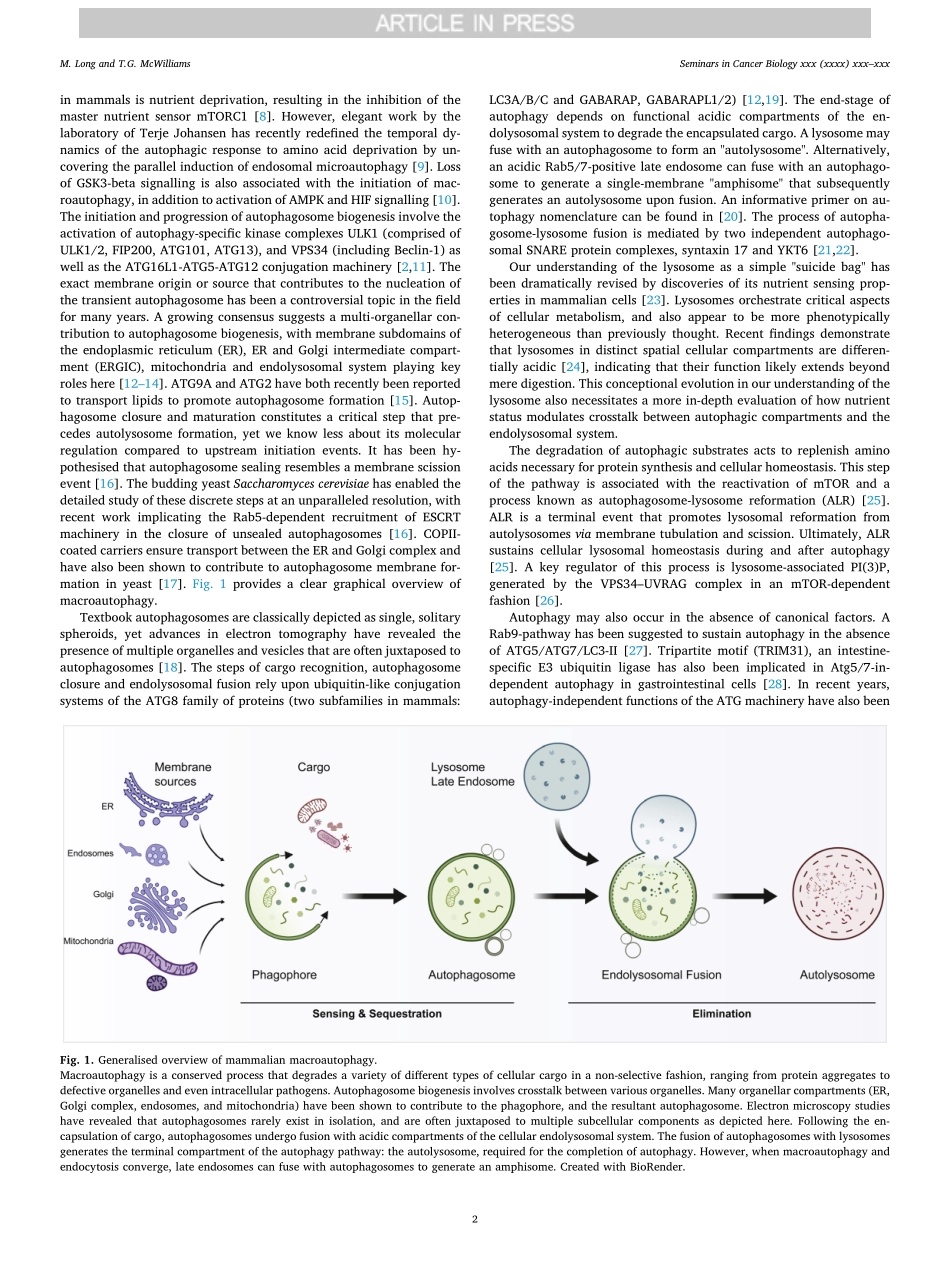 Monitoringautophagyincancer Frombenchtobedside.pdf_第2页