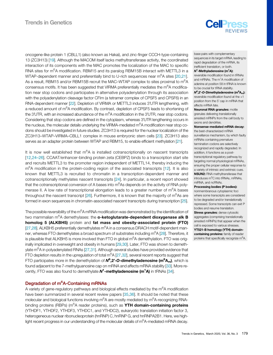 Molecular Mechanisms Driving mRNA Degradation.pdf_第3页