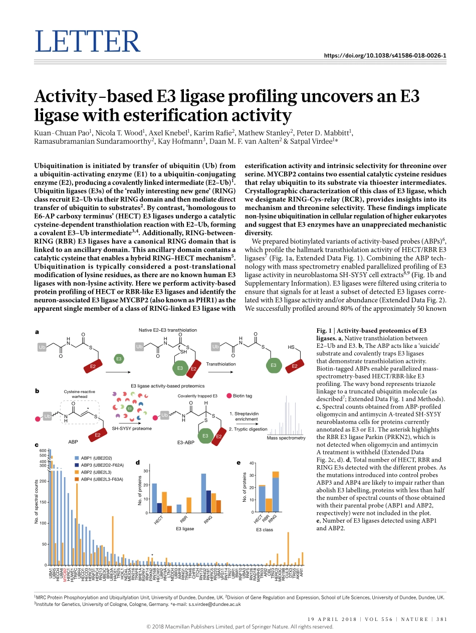 2018-Pao-Activity-based E3 ligase profiling un.pdf_第1页