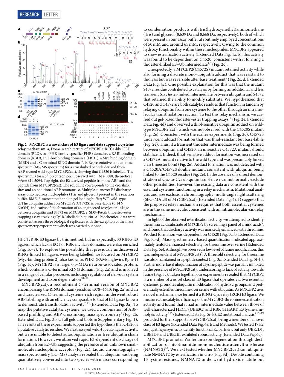 2018-Pao-Activity-based E3 ligase profiling un.pdf_第2页