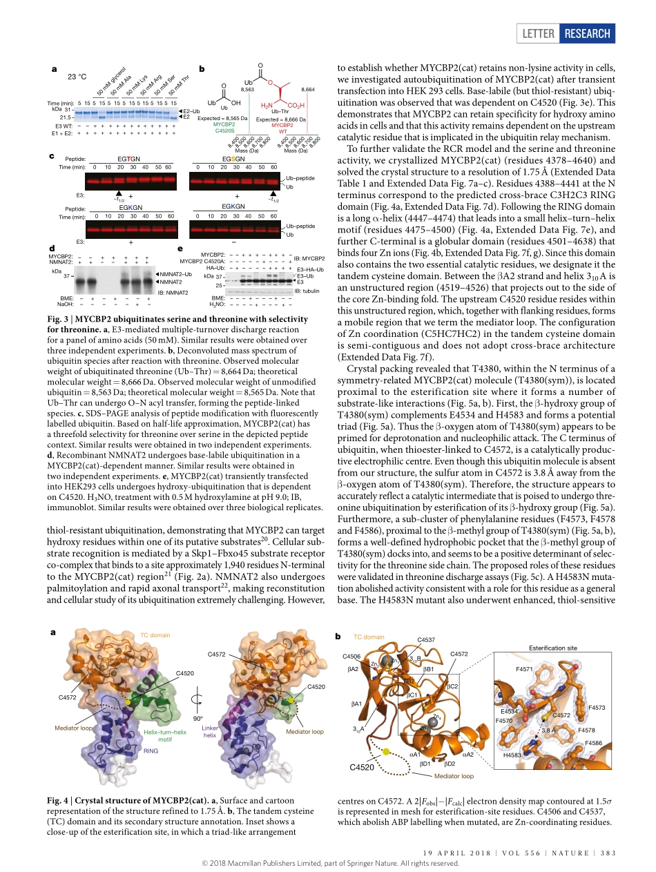 2018-Pao-Activity-based E3 ligase profiling un.pdf_第3页