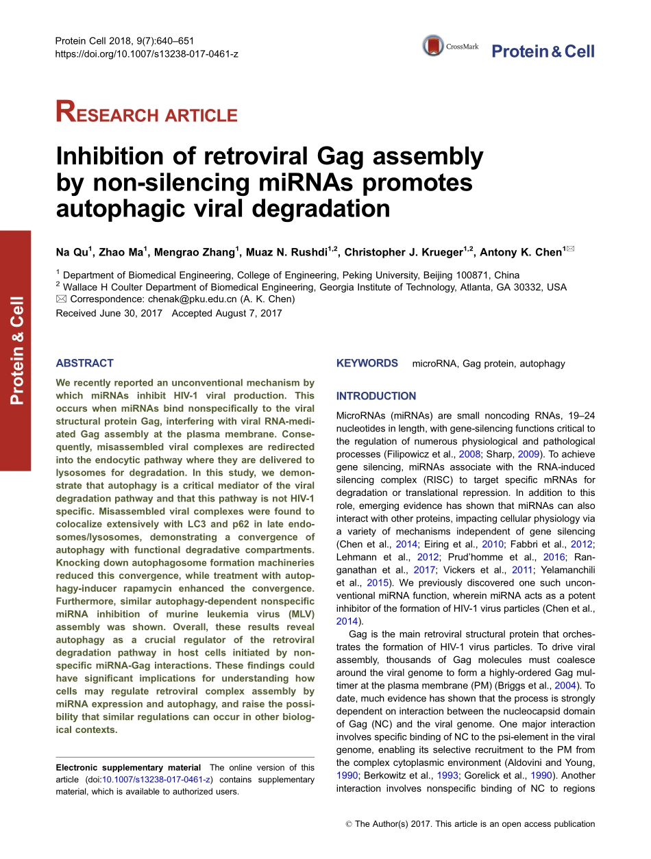 Inhibition of retroviral Gag assembly by non-silencing miRNAs promotes autophagic viral degradation.pdf_第1页