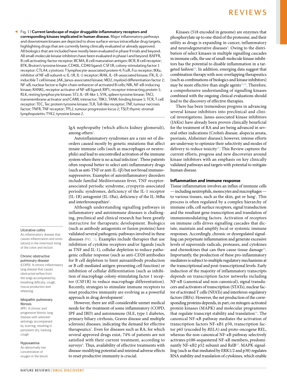 Kinase inhibition in autoimmunityand inflamm.pdf_第3页
