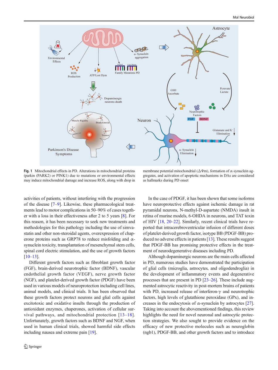 Growth Factors and Neuroglobin in Astrocyte Protection Against Neurodegeneration and Oxidative Stress.pdf_第2页