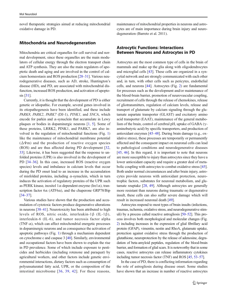 Growth Factors and Neuroglobin in Astrocyte Protection Against Neurodegeneration and Oxidative Stress.pdf_第3页