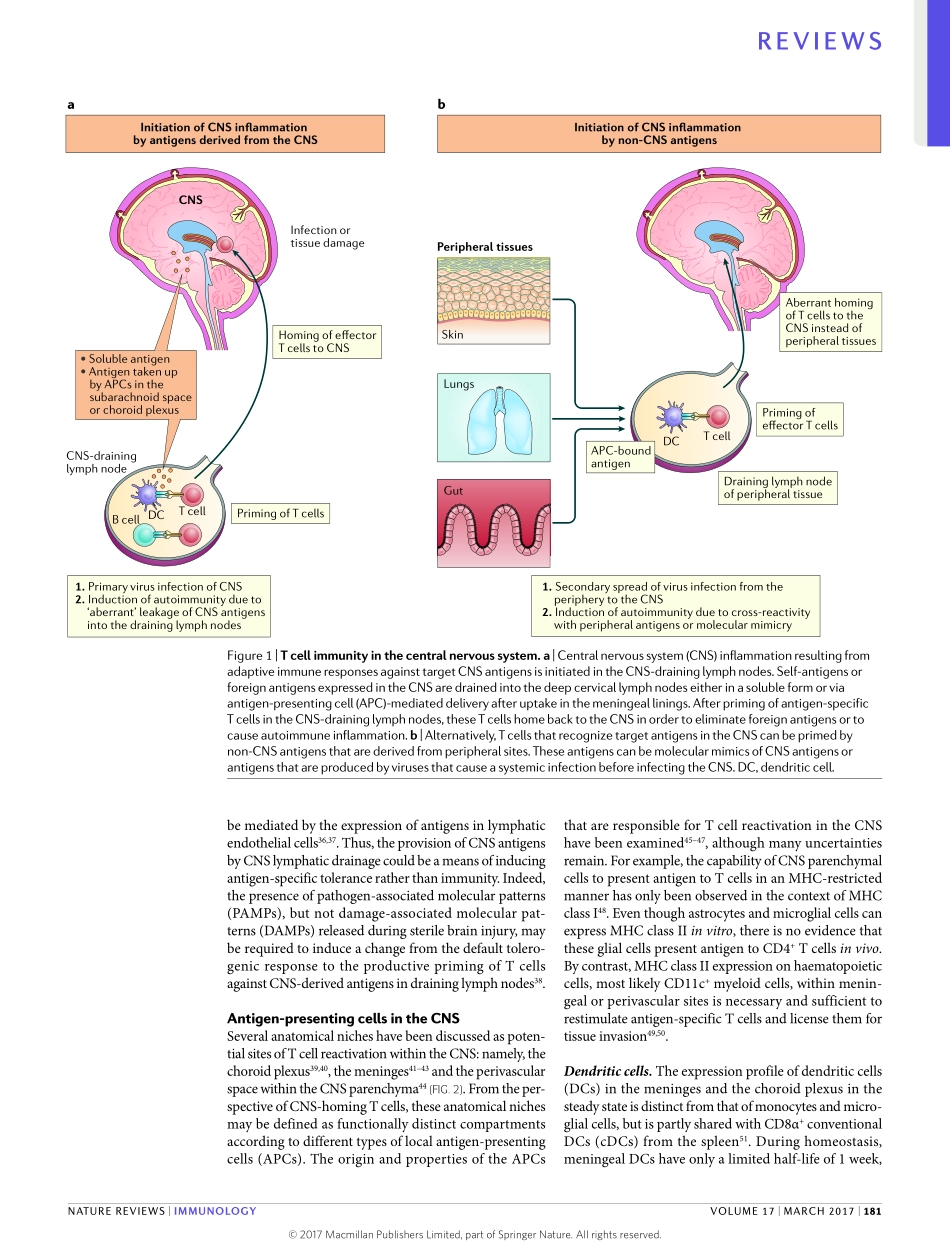 Korn-2017-T cell responses in the central nerv.pdf_第3页