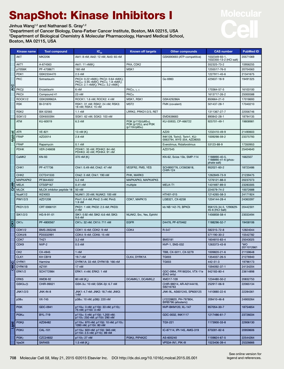Kinase Inhibitors I.pdf_第1页