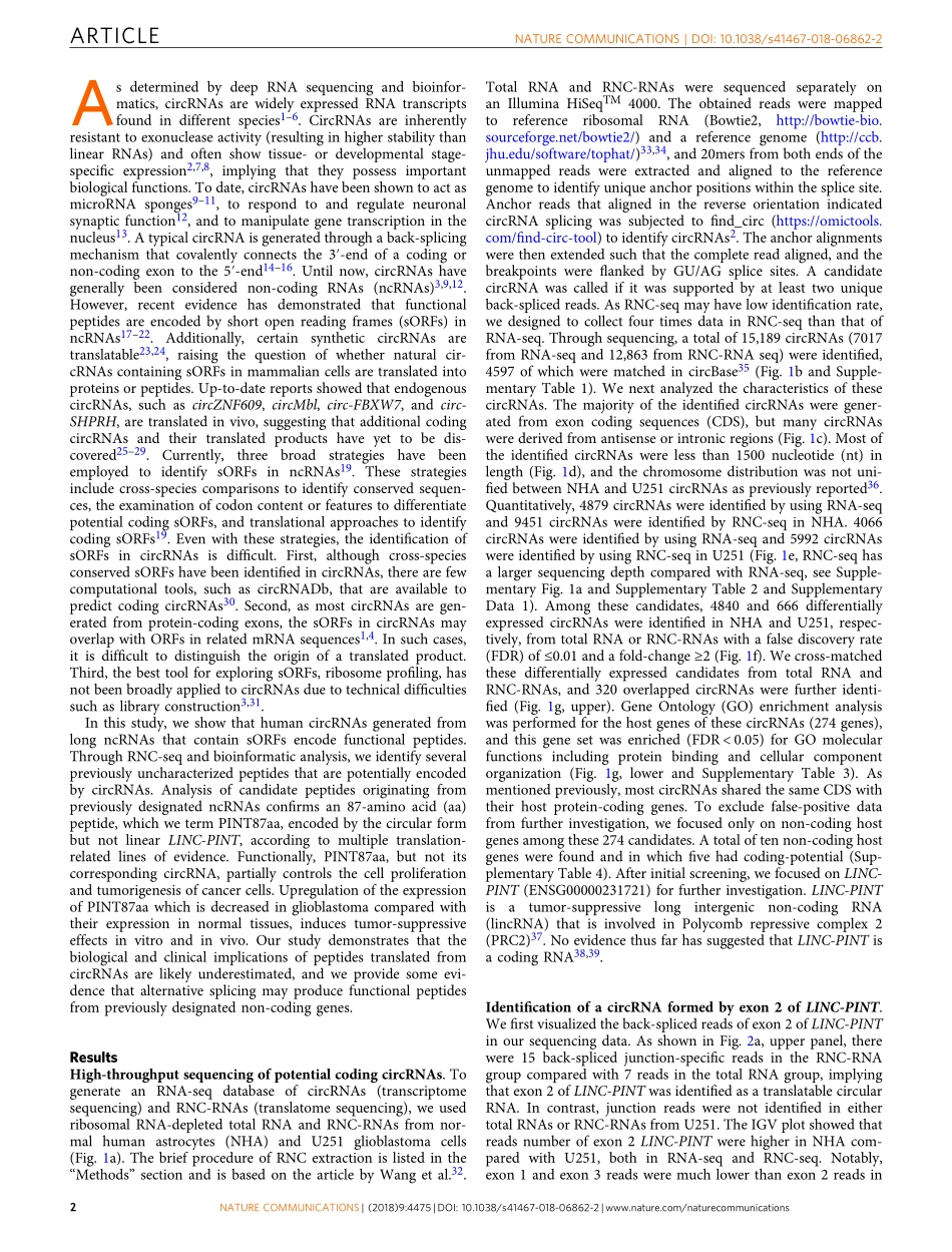 Nat Commun. 2018 一种以环状形式的LINC-PINT编码的肽抑制胶质母细胞瘤中的致癌转录伸长.pdf_第2页