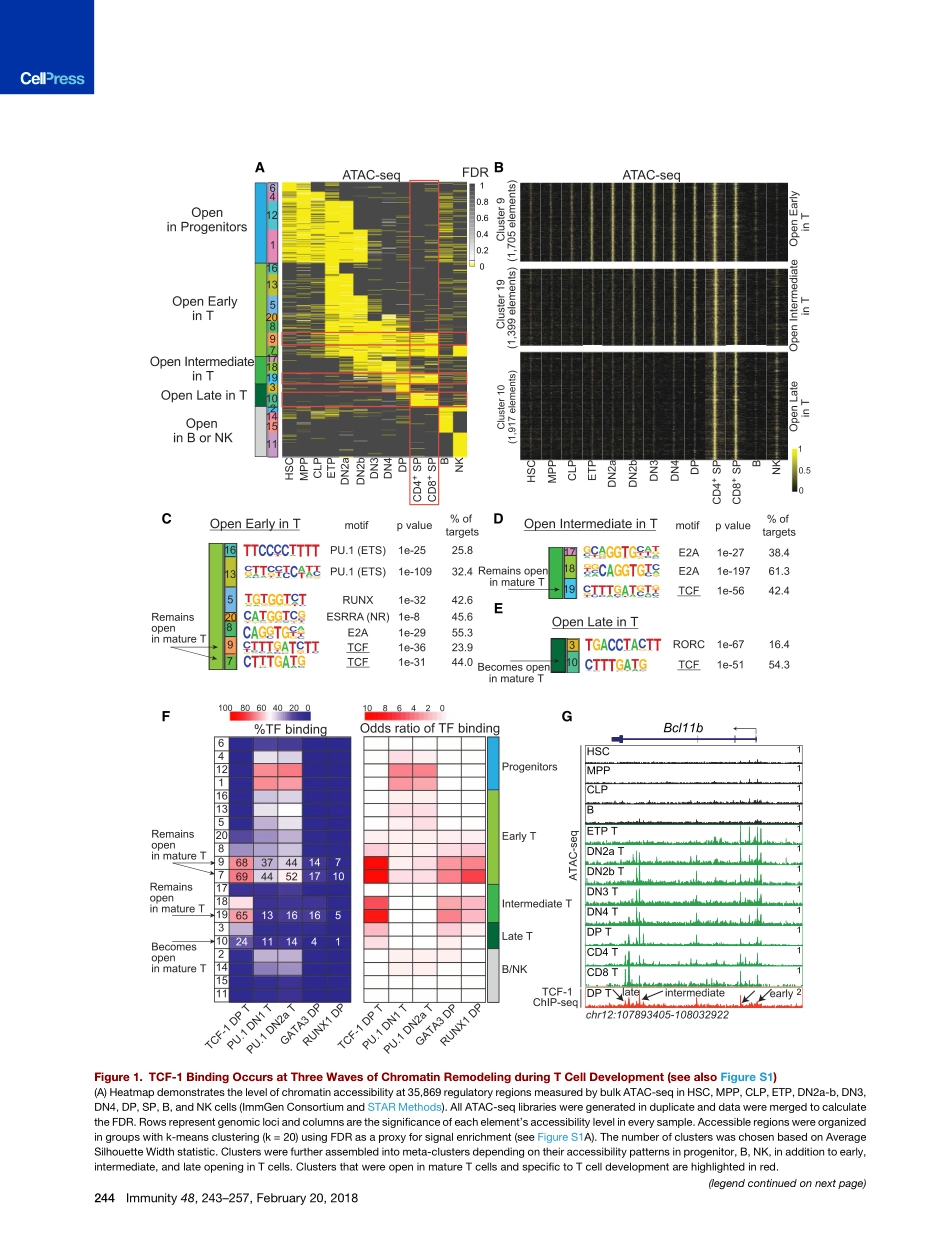 2018-谱系确定转录因子TCF-1启动T细胞的表观遗传同一性.pdf_第3页