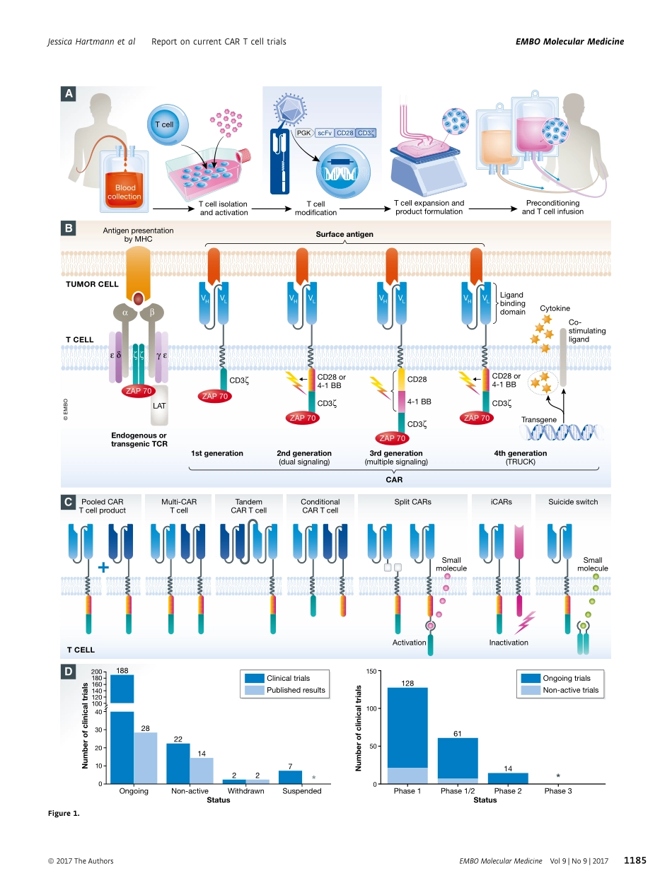 Hartmann-2017-Clinical development of CAR T ce.pdf_第3页