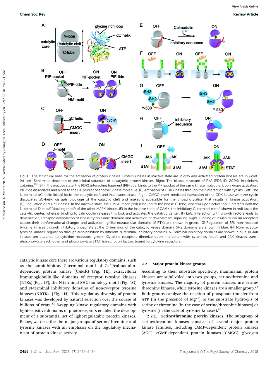 Leopold-2018-Optogenetically controlled protei.pdf_第3页
