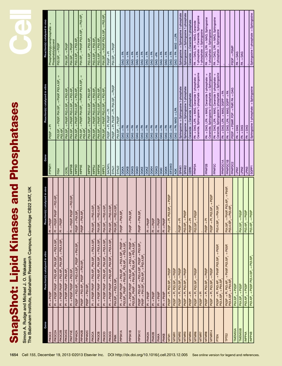 Lipid Kinases and Phosphatases.pdf_第1页