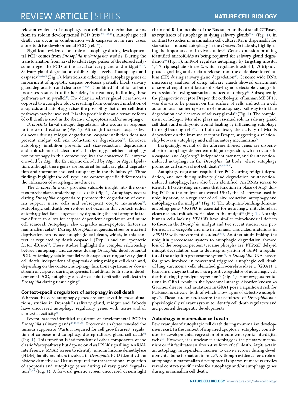 Life, death and autophagy.pdf_第2页