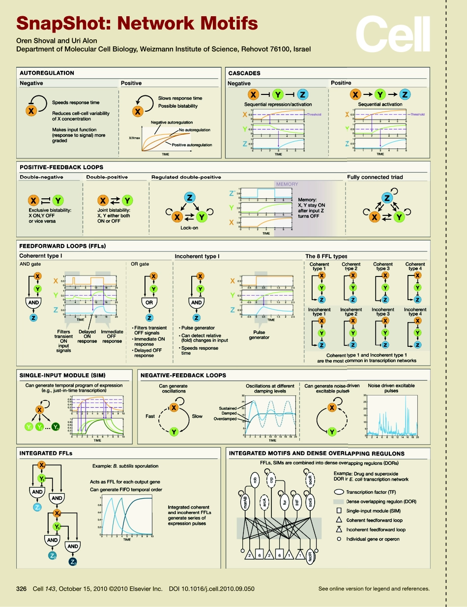 Network Motifs.PDF_第1页