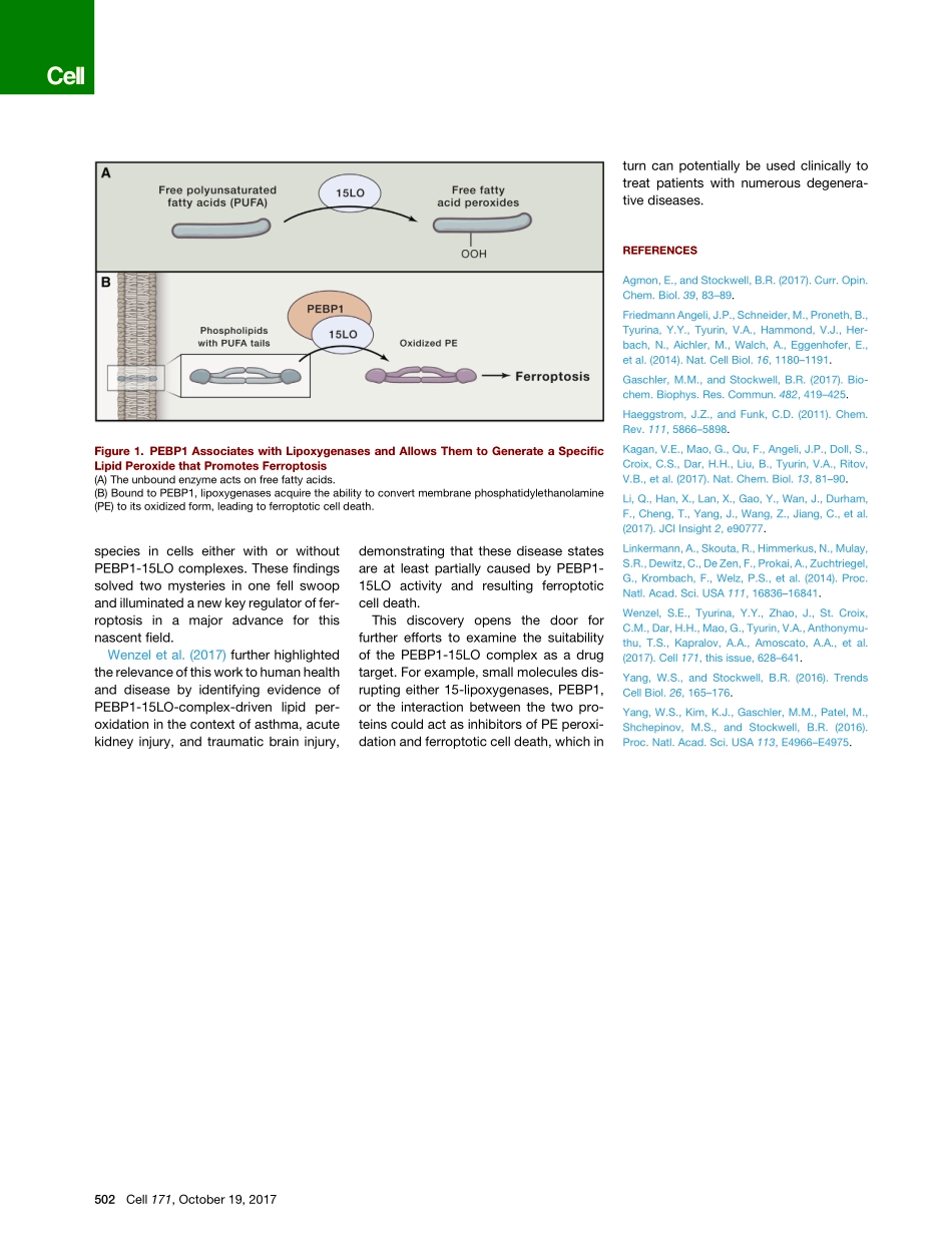 2017-Ye-转化脂氧合酶：伪装中的PE特异性酶.pdf_第2页