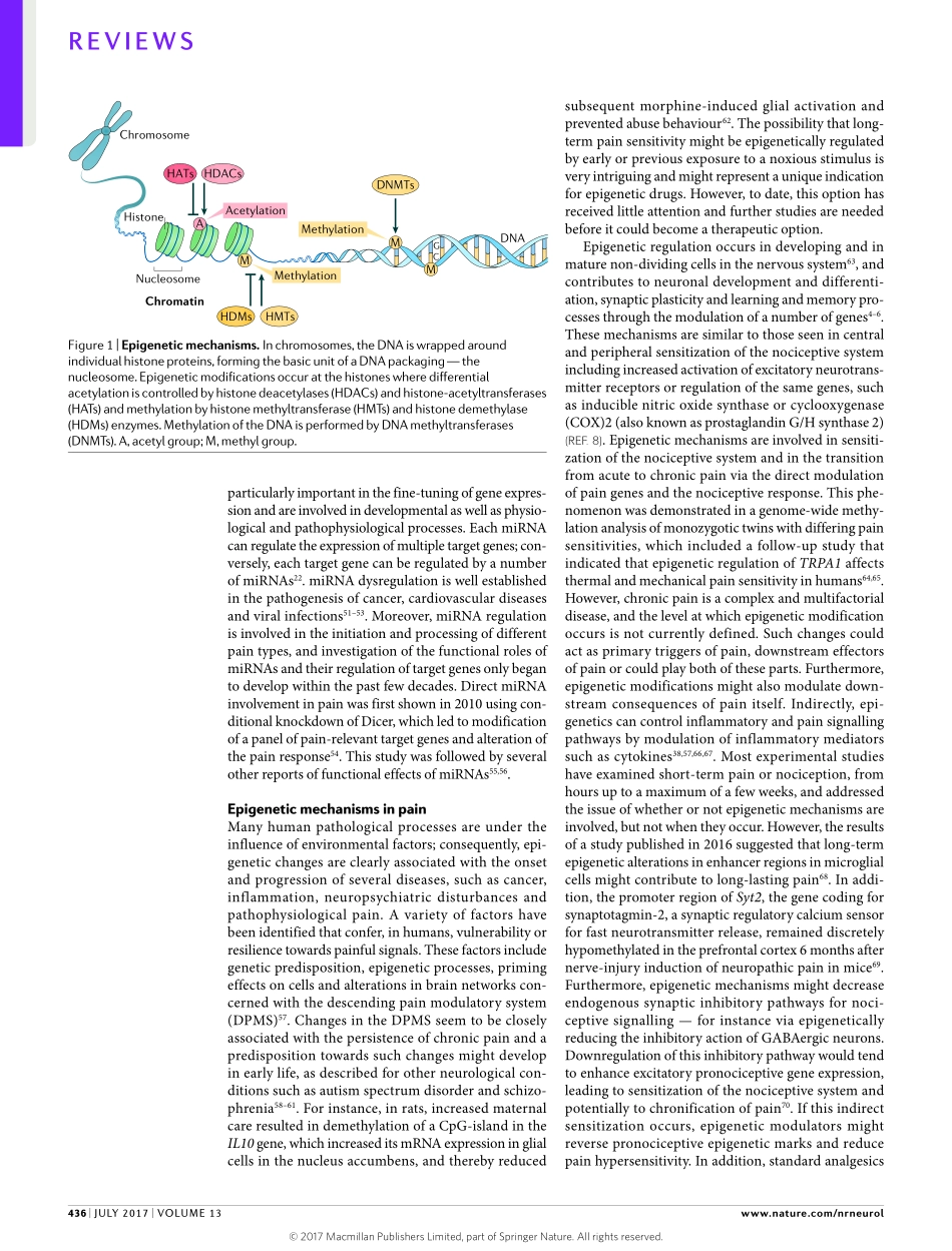 Niederberger-2017-Drugging the pain epigenome.pdf_第3页