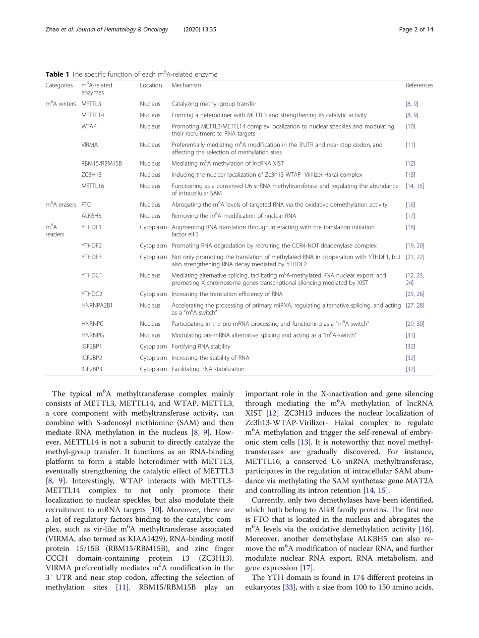 m6A-binding proteins the emerging crucial perf.pdf_第2页
