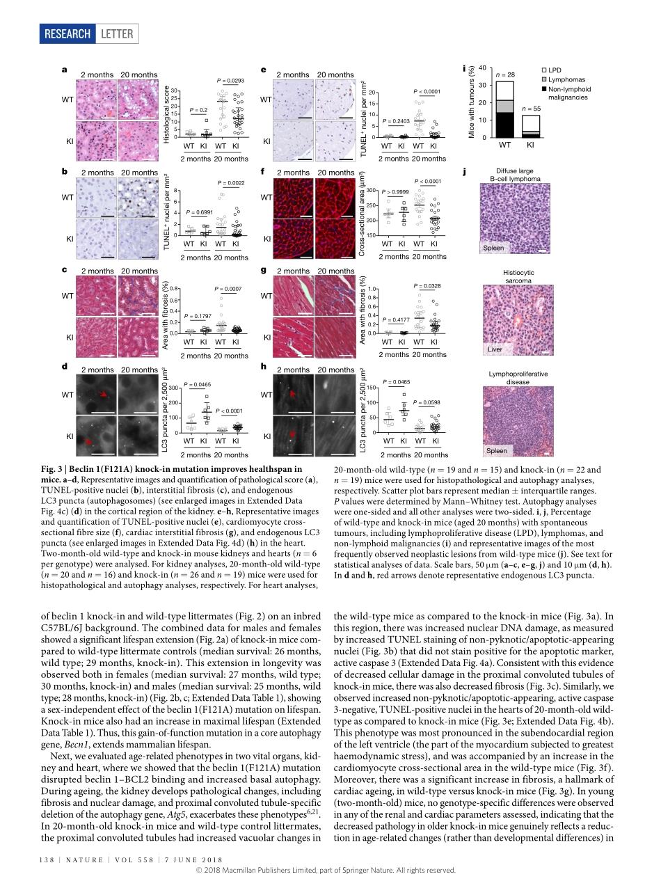 2018-Fernandez-beclin 1-BCL2自噬调节复合物的破坏促进了小鼠的寿命.pdf_第3页