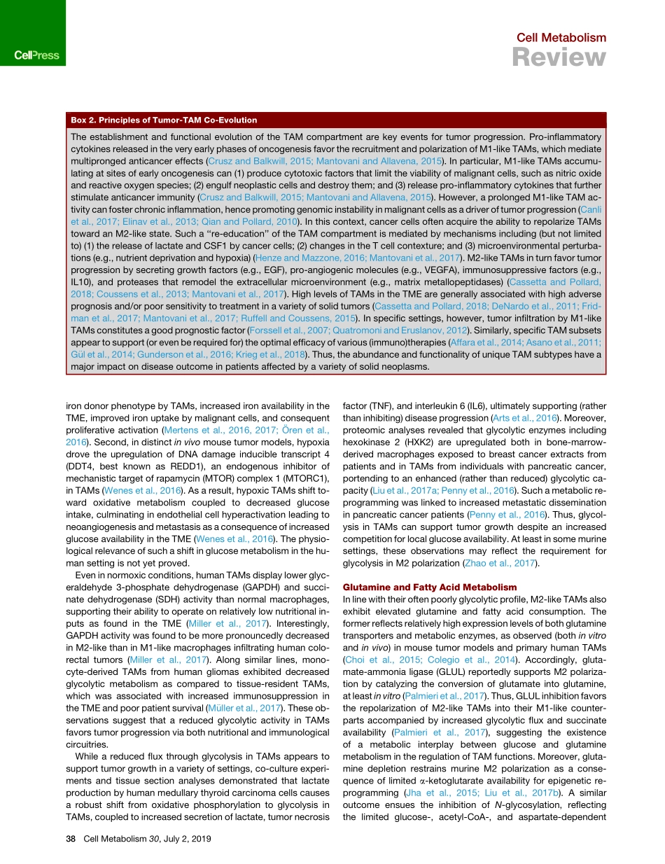 Macrophages and Metabolism in the Tumor Microe.pdf_第3页