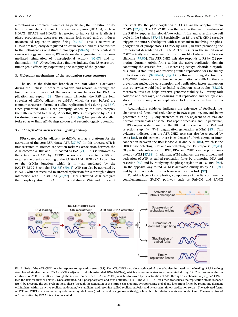 Manic-2018-Replication stress response in canc.pdf_第3页