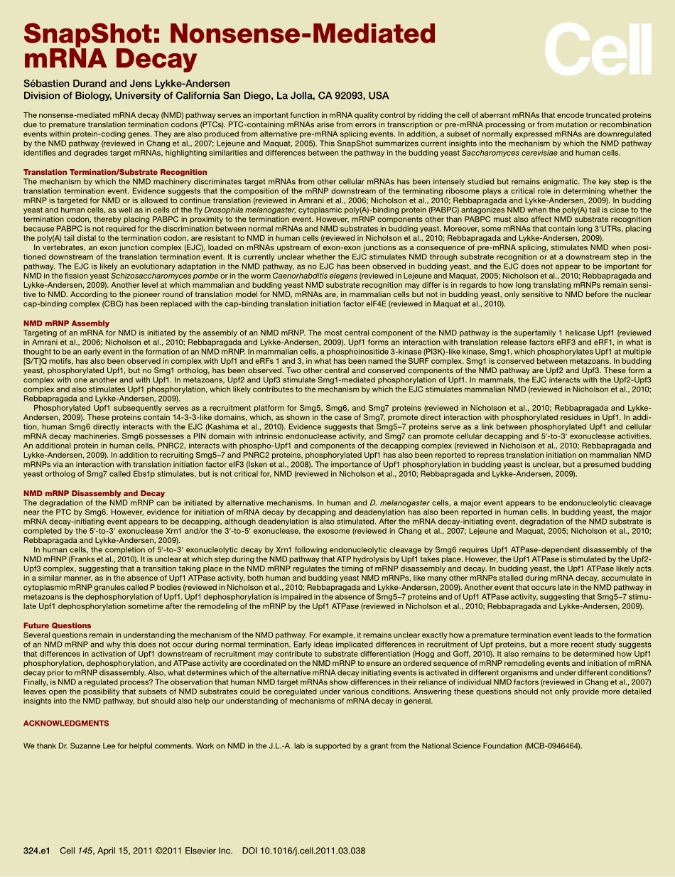 Nonsense-Mediated mRNA Decay.pdf_第2页