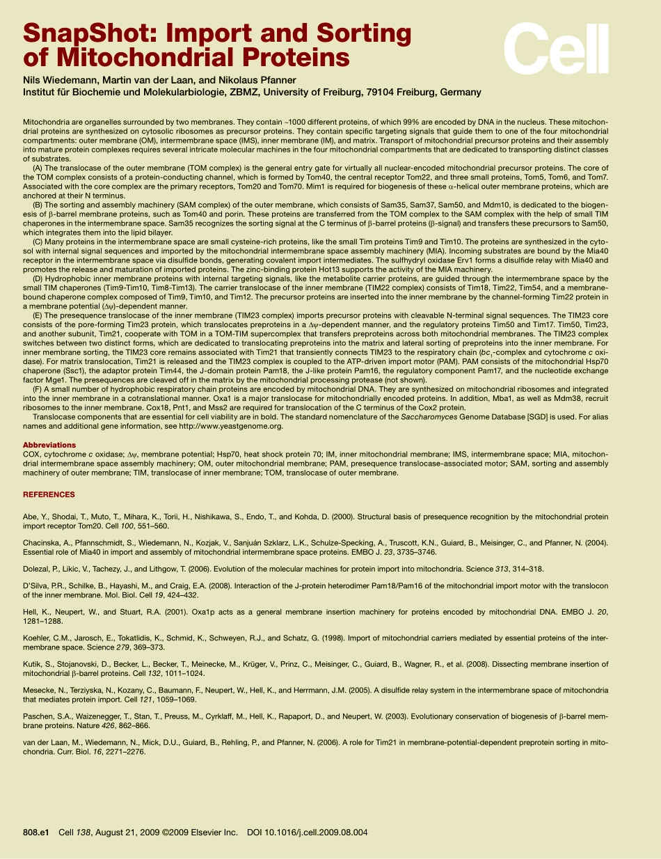 Import and Sorting of Mitochondrial Proteins.PDF_第2页