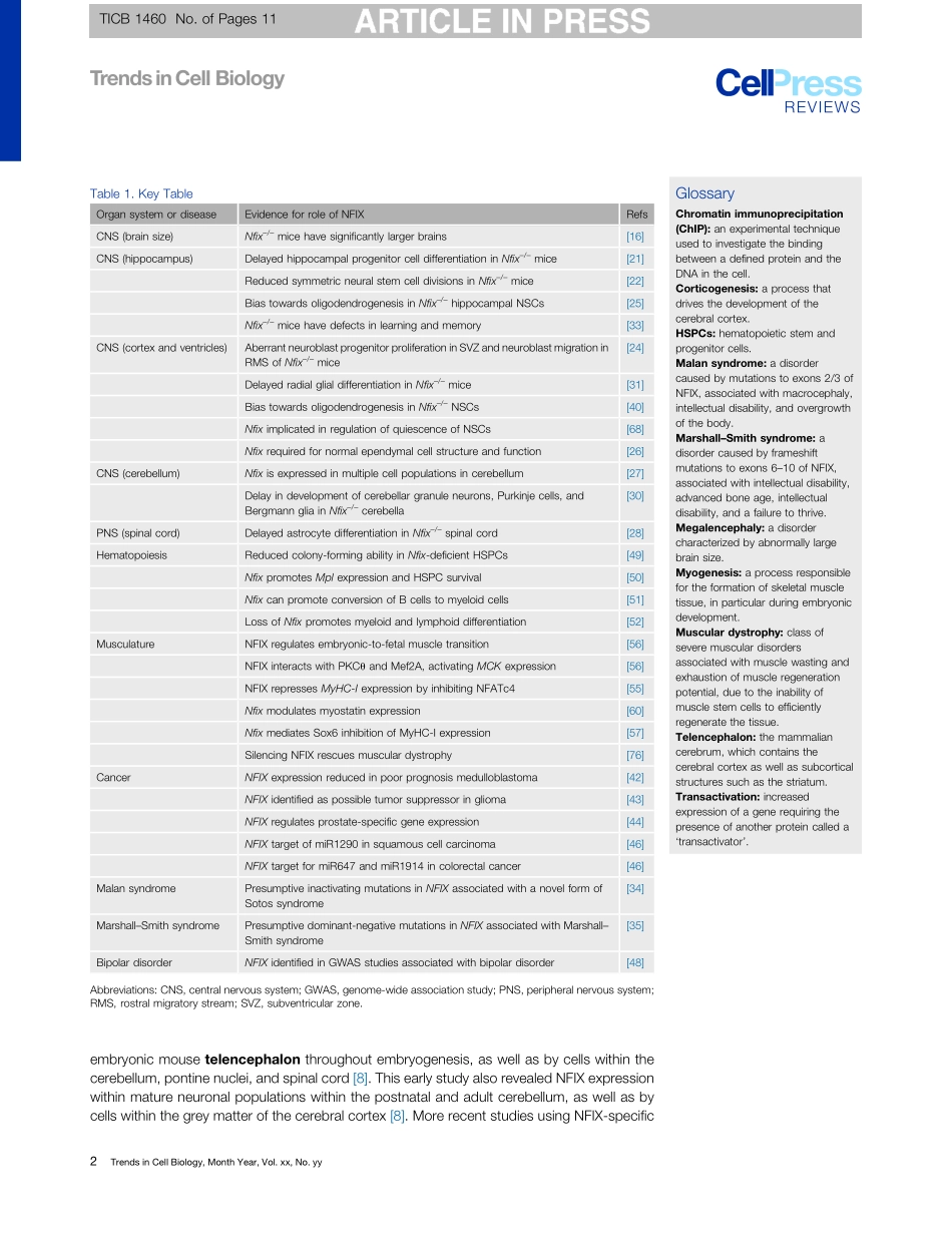 Nuclear Factor One X in Development and Diseas.pdf_第2页