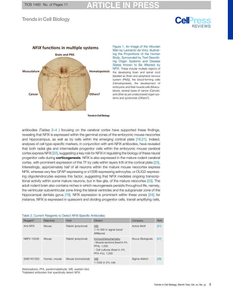 Nuclear Factor One X in Development and Diseas.pdf_第3页
