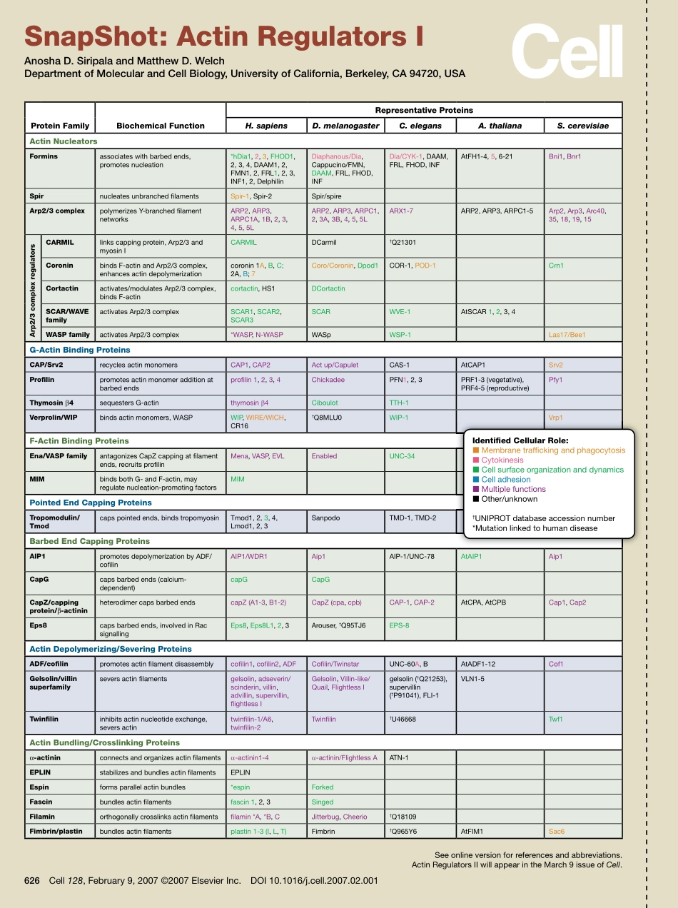 Actin Regulators I.PDF_第1页