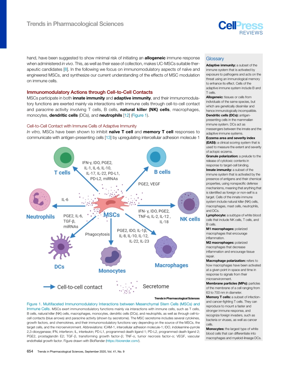 Mesenchymal Stem Cell Immunomodulation Mechani.pdf_第2页