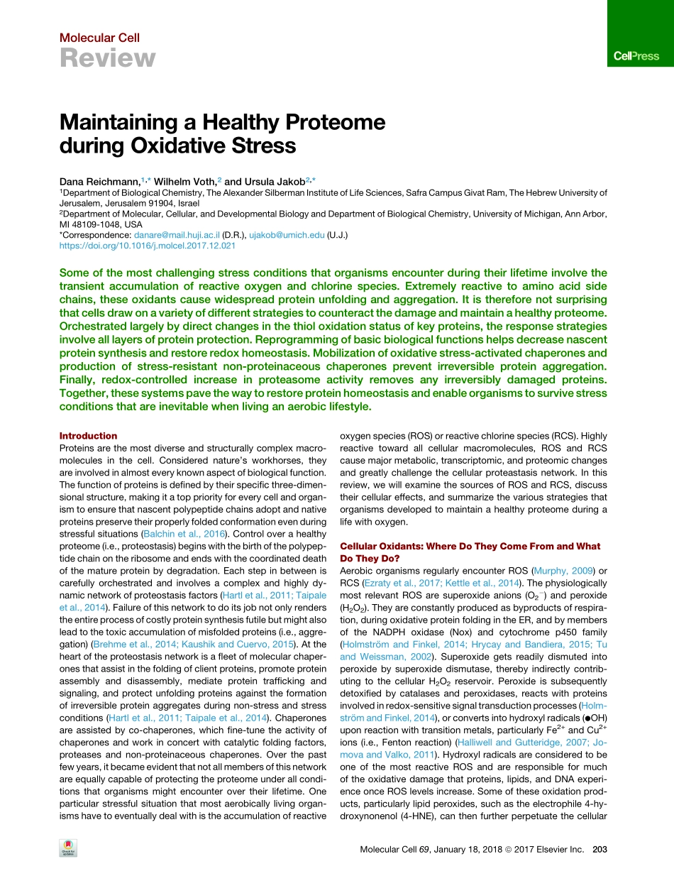 Maintaining a Healthy Proteome during Oxidative Stress.pdf_第1页