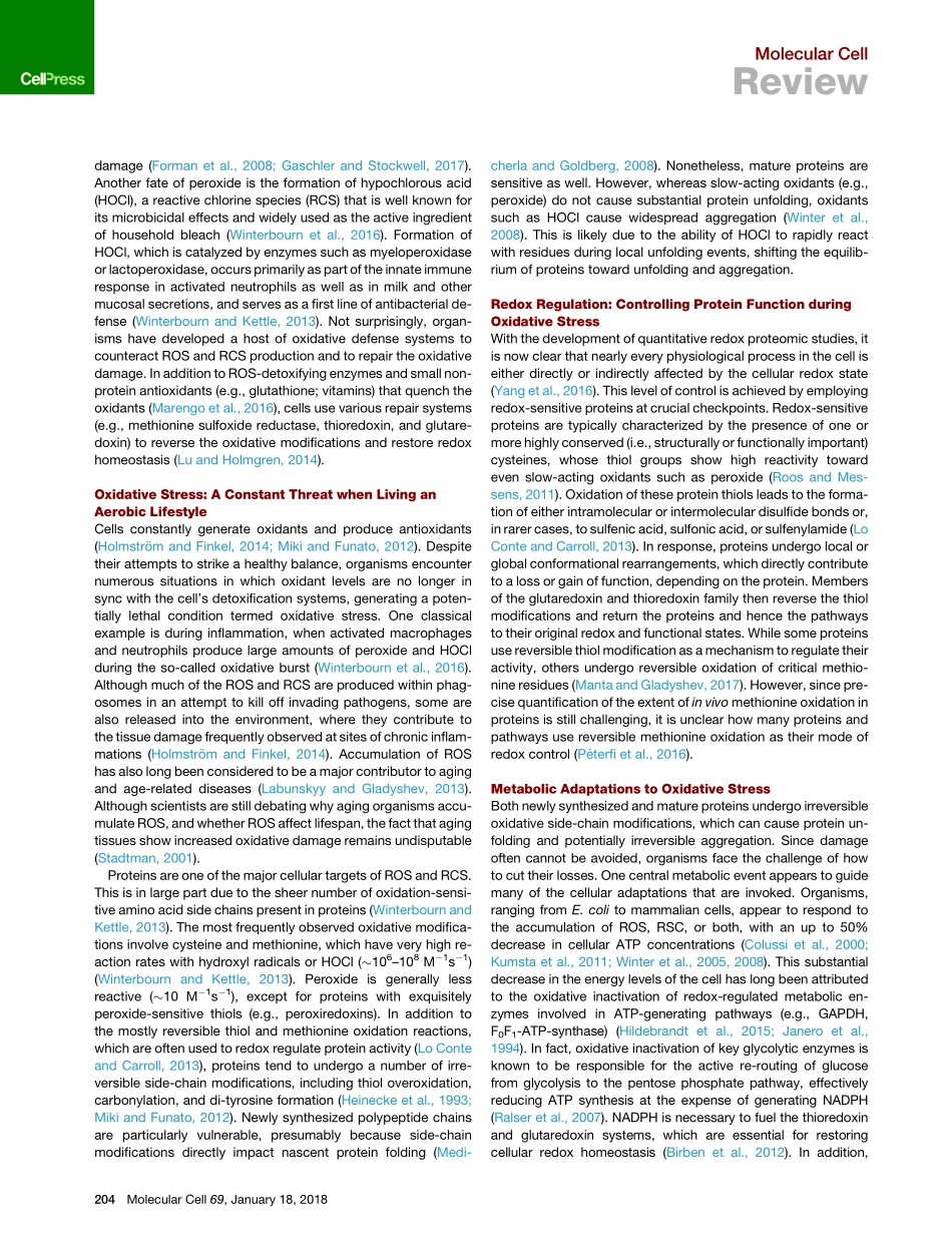Maintaining a Healthy Proteome during Oxidative Stress.pdf_第2页