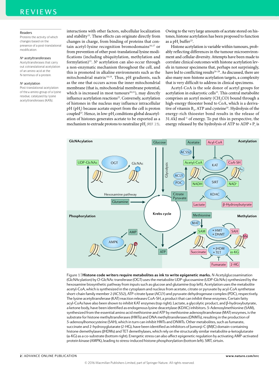 Metabolic control of epigenetics in cancer.pdf_第2页